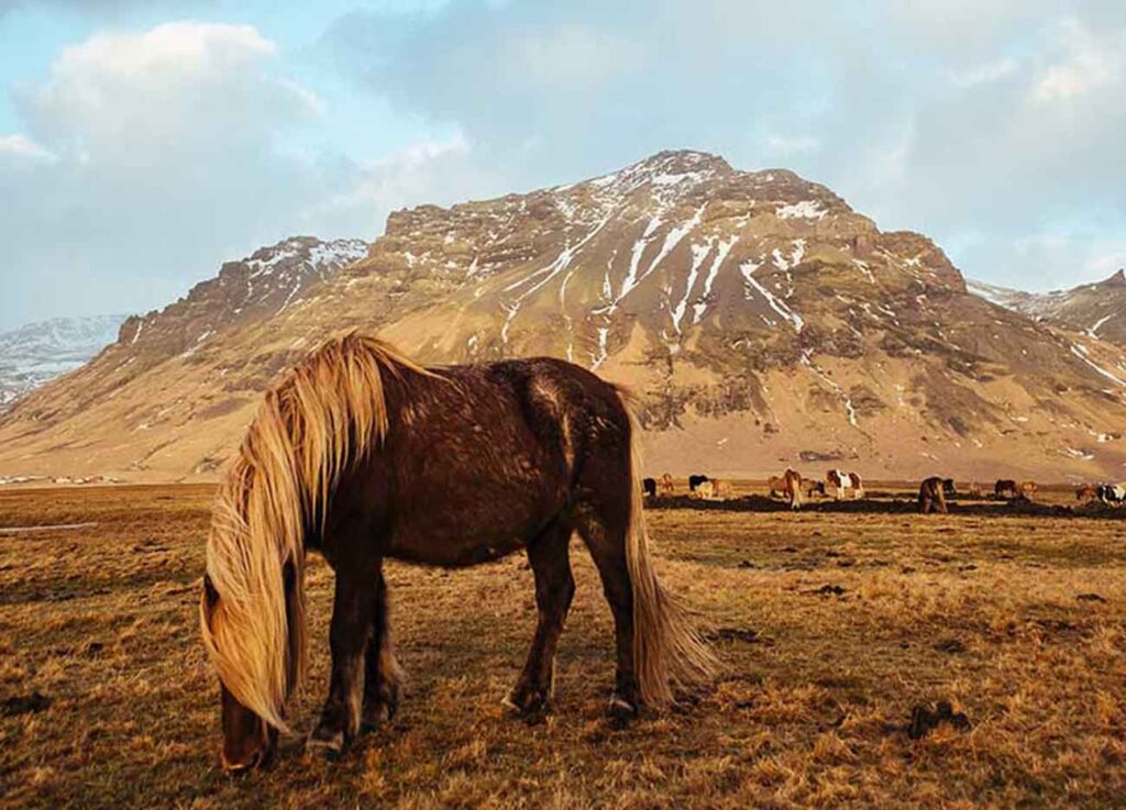 Mesmerizing Photo Stories of the Month m